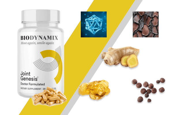 A bottle of Biodynamix Joint Genesis supplement, accompanied by images of key ingredients like ginger, resin, pepper, and bark extract, set against a yellow and gray diagonal striped background.